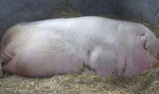 新概念培训 新概念培训